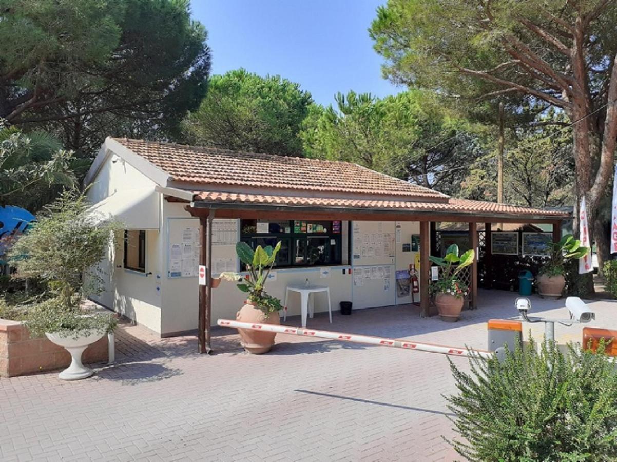 Appartamenti Campeggio Del Forte Marina Di Bibbona Bagian luar foto